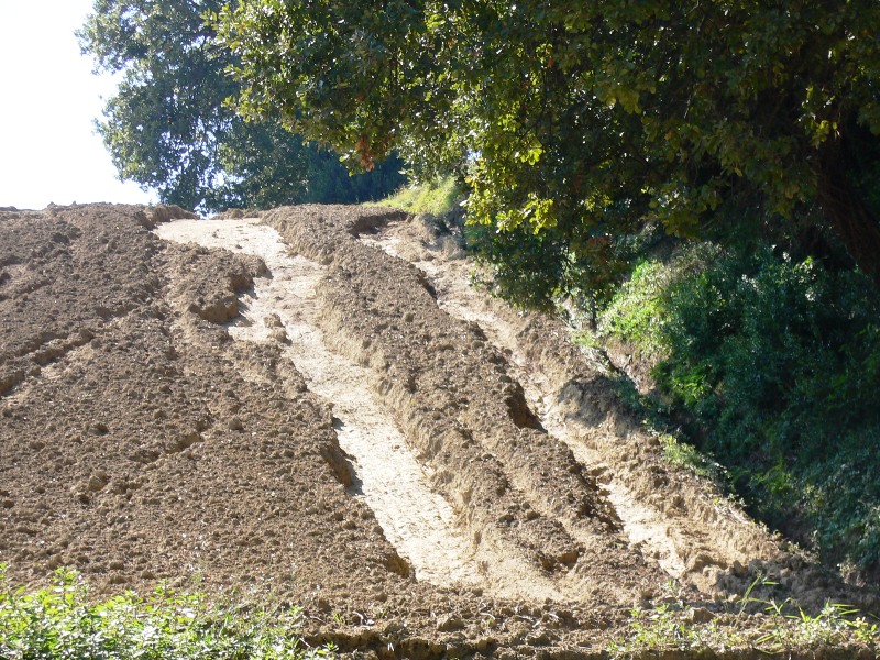 Erosione del suolo